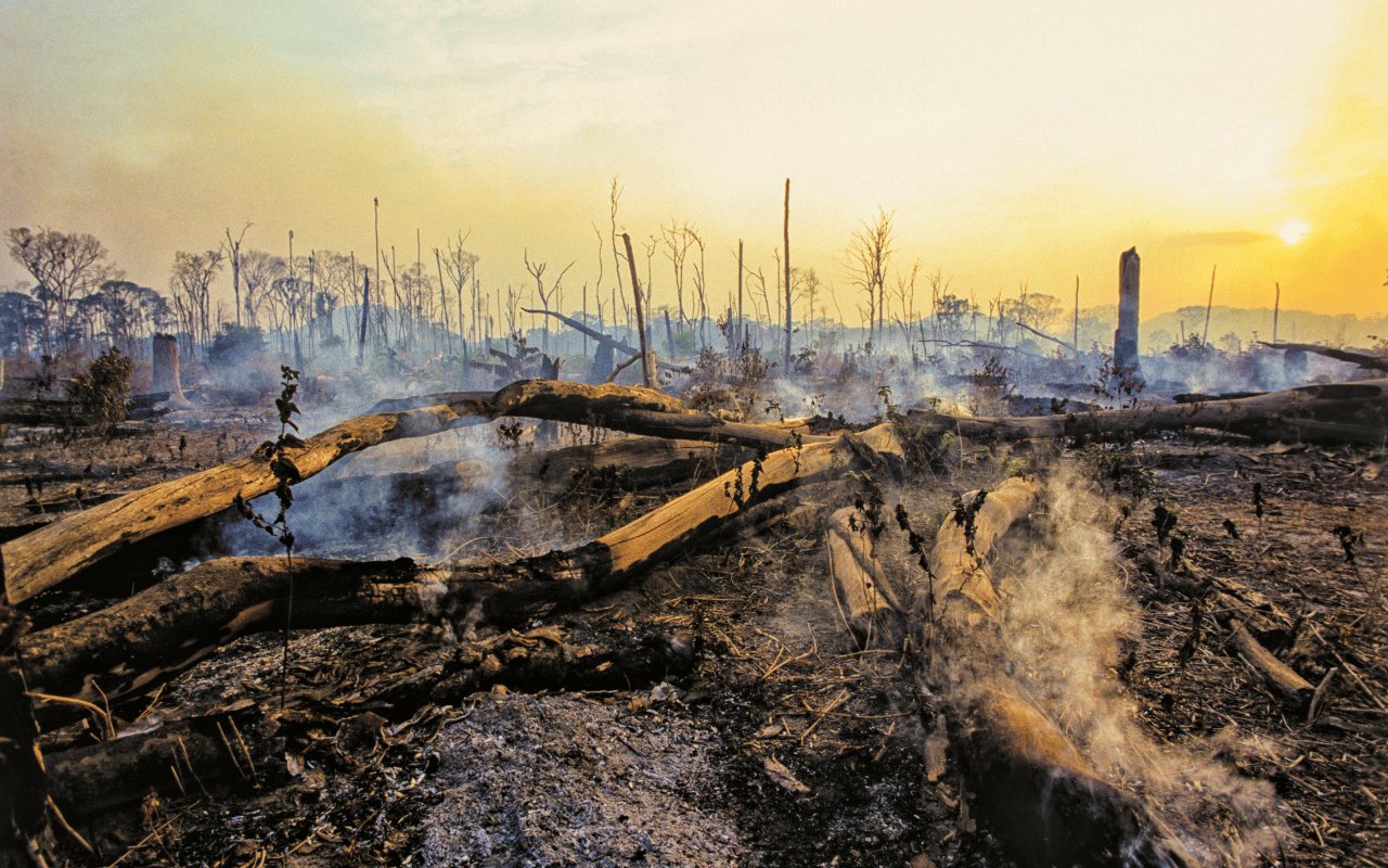 Call On Banks to Stop Fueling Amazon Destruction | Stand.earth