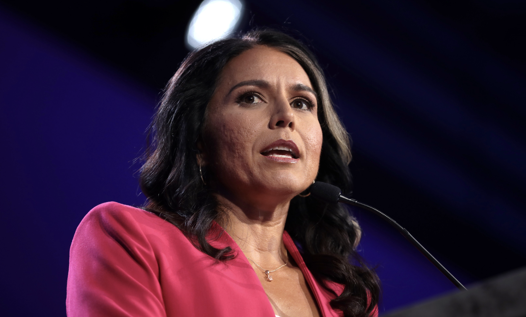 Sen. Curtis: Block Tulsi Gabbard as Intelligence Director | Civic Shout