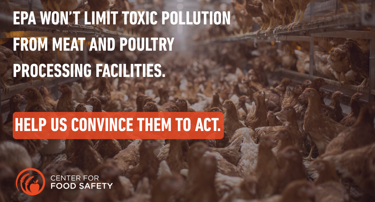 Tell the EPA: Protect Our Water from Factory Farm Pollution | Center ...