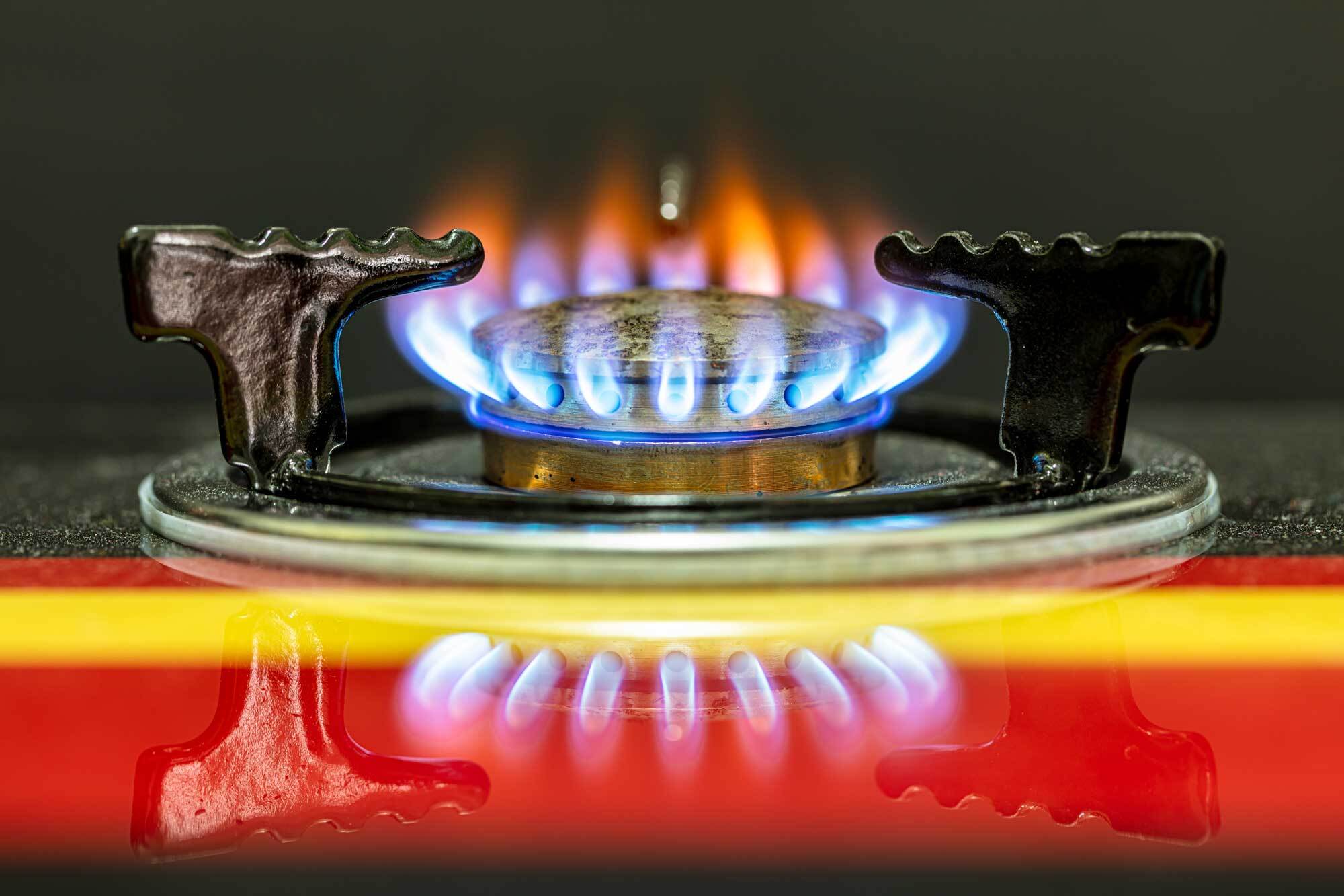 Tell Regulators to Protect Children From Gas Stove Pollution Stand.earth
