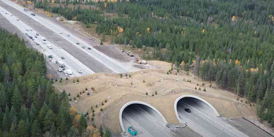  The Honourable Peter Lougheed Wildlife Crossing near Canmore, Alta. Photo courtesy Government of Alberta