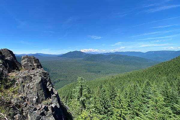 Keep Roadless Areas Roadless Wildearth Guardians